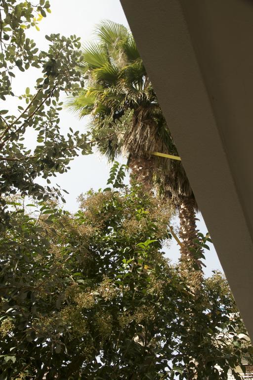 Casa Mimi B&B Pescara Kültér fotó